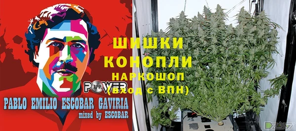 СК Покровск