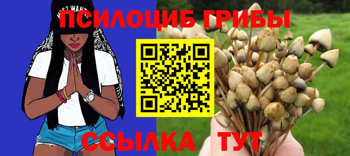 как найти   Вход с VPN  Красноярск  Псилоцибиновые грибы Magic Shrooms 