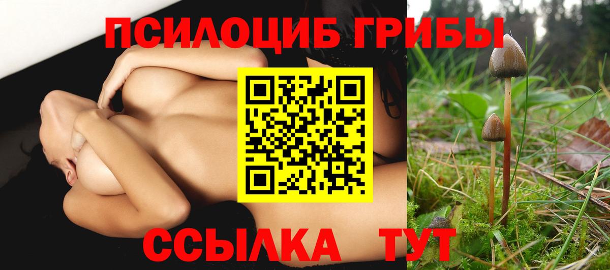 Псилоцибиновые грибы прущие грибы Красноярск